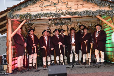 Występy podczas Strefy Białych Świąt